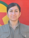 Zınarin Xwinda - Xwinda Hasan
