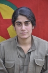 Solin Roj - Sabriye Temel