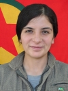 Sorxwin Zagros - Hivda Temel