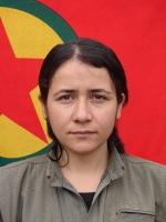 Yıldız Amed - Zozan Duva