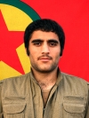 Şoreş Qoser - Rıdvan Sarıboğa