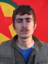 Soro Faraşin - Azad Temel