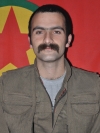 Şiyar Kobanê - Esxer Qordoymîlan