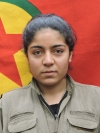 Beritan Serhat - Rojda Daşkın