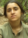 Omedya Rohat - Revan Zana Barıştıran
