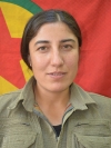 Zilan Tolhıldan - Suzan Çelik