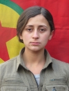 Dersim Gever - Yaren Danış