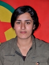 Arjin Kurdistan - Şükran Kızılaslan
