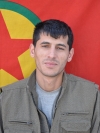 Rızgar Tolhıldan - Felat Kocakaya