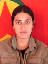 Nujin Amed - Gülnaz Omayimilan