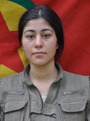 Dicle Dilbirin . - İlnas Nevidi