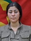 Dicle Dilbirin . - İlnas Nevidi