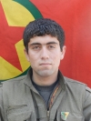 Çekdar Sipan - Renas Ali