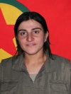 Dilan Cotkar - Emine Çiftçi