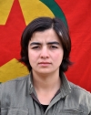 Yıldız Hemin - Nejbir Reber Ali