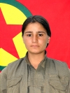 Viyan Murat - Fatma Berkel