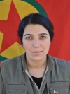 Roza Eylem - Şirvan Dere