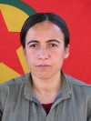 Devrim Medya - Zeynep Baytar