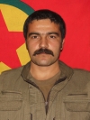 Fîraz Zîlan - Nêçîrvan Seven