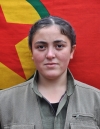 Roj Rodi - Şilan Sayak
