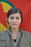 Zenda Çelê - Sozdar Ayar