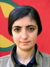 Destan Agit - Dilan Akkoç