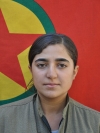 Beritan Welat - Habibe Mansur