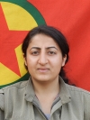 Agırin Tekoşin - Hanım Çelik