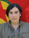 Melsa Tılora - Beyan Dara