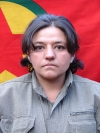 Tavge Emek - Şükran Terlok