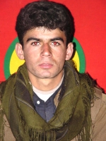 Aslan Aslan - Cembeli Tunç