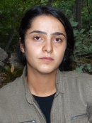 Asmin Cilo - Medya Sönmez