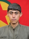 Alîşêr Amed - Ömer Karabulut