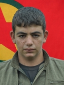 Numan Sterk - Halef Yıldız
