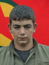 Numan Sterk - Halef Yıldız