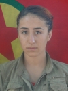 Solin Elbak - Özlem Dindar