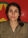 Doğa Zilan - Hediye Çerçi