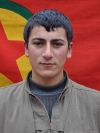 Rubar Şervan - Cihan Sever