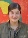 Hevi Tolhıldan - Dilan Olgun