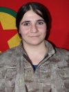 Zîlan Botan - Zîlan Güler