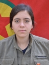 Roza Tekoşin - Rojbin Arcagök