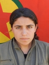 Hevi Viyan - Azime Akdoğan