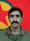 Dijwar Kiçî - Mehmet Emin Göçer