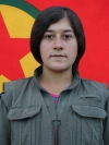 Ezda Gever - Şilan Güder