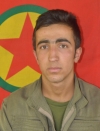 Rojhat Zelal - Diljar Hazar