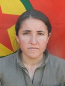 Amargi Ari - Gülşen Doğru