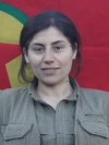 Zin Farqin - Ferihe Başkaleme