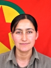 Dorşin Viyan - Semiha Akdoğan