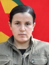 Şilan Koçer - Hiyam Kasım