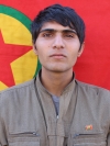 Baz Rojhilat - Xalıd Hamedi